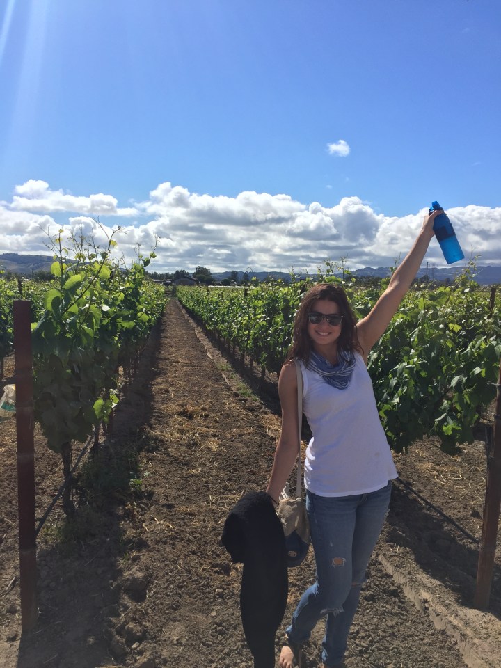 2016-05-14 16.08.46 HDR