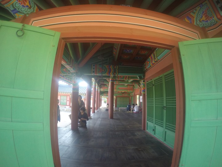 DCIM100GOPROGOPR0163.