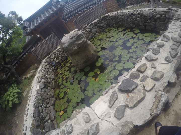 DCIM100GOPROGOPR0192.