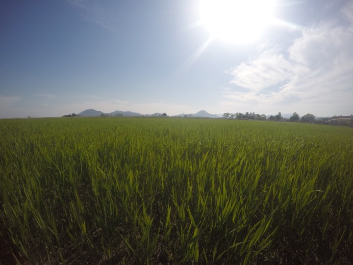 DCIM100GOPROGOPR0222.