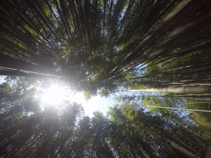 DCIM100GOPROGOPR0248.