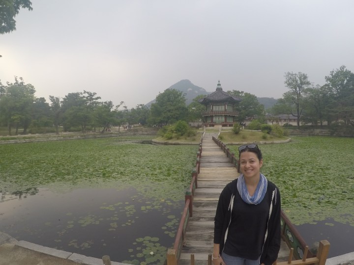 DCIM100GOPROGOPR0407.