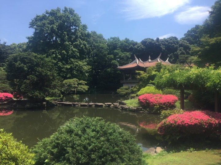 Tokyo Park